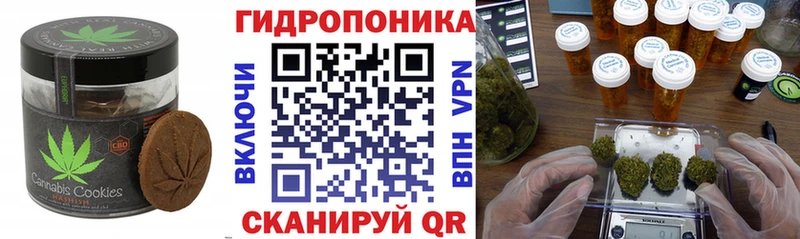 купить сайты Балей Cannafood марихуана