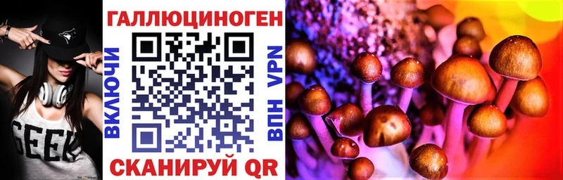 ссылка на мегу зеркало  Балей  Галлюциногенные грибы MAGIC MUSHROOMS 